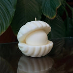 Perla de mar