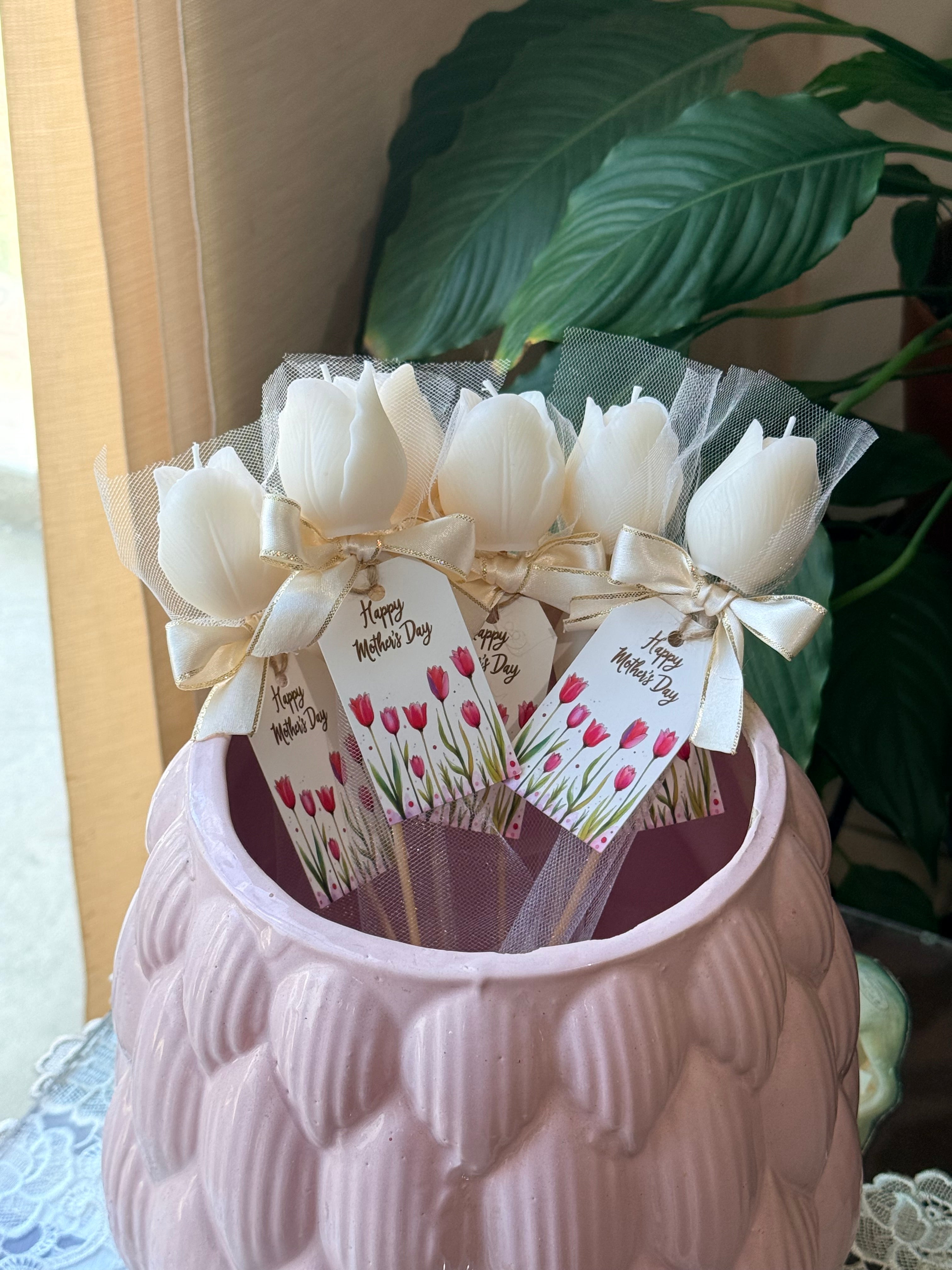 Tulipán individual