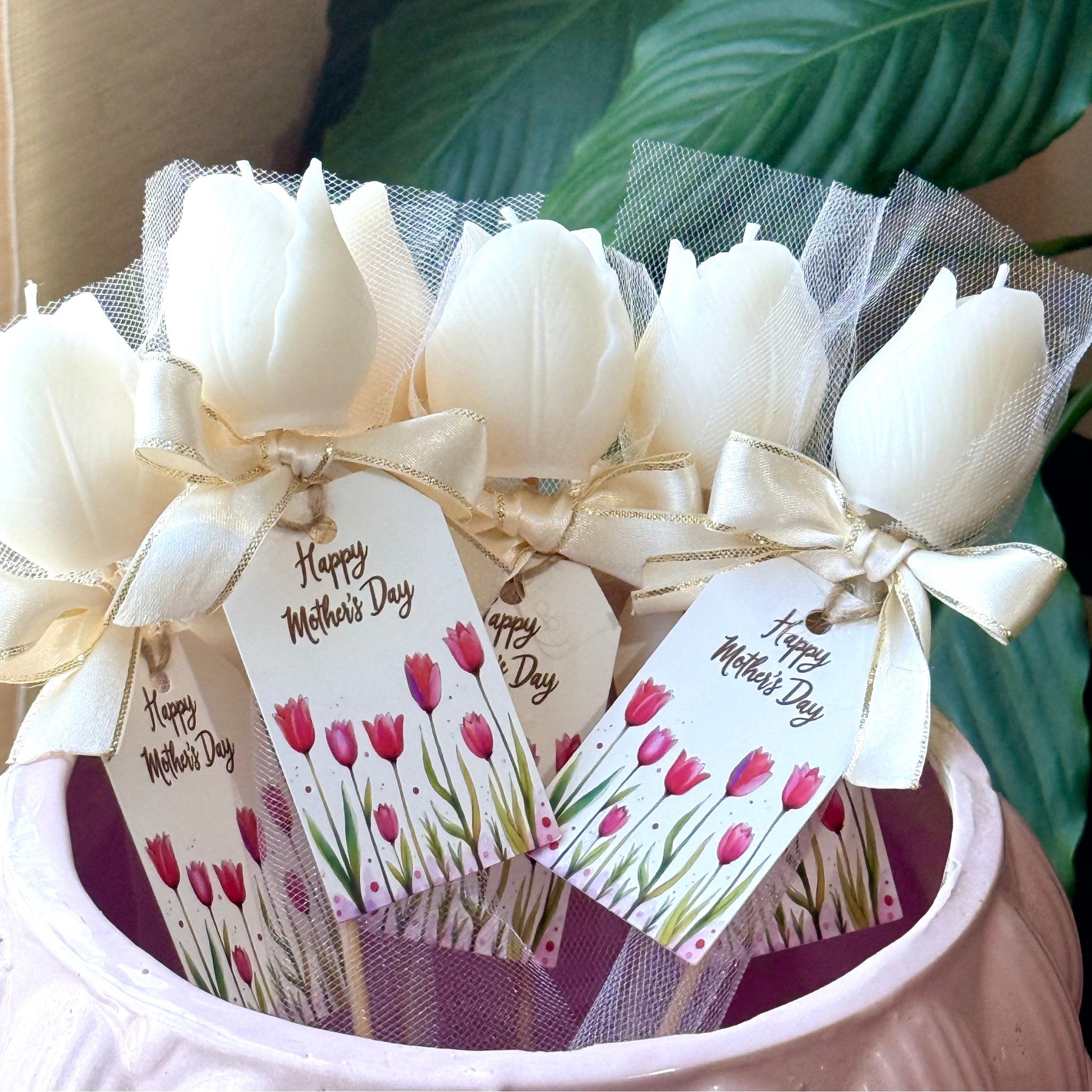 Tulipán individual