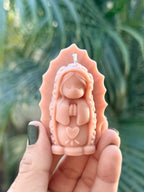 Virgencita plis