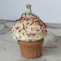 Birthday Cupcake
